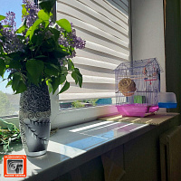 3 к. кв-ра, г. Речица, ул. Молодежная, д. 14 ID: 100121